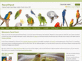 parrotparrot.com