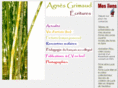 agnesgrimaud.com