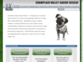 cvcaninerescue.org