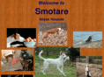 smotareibizanhounds.com