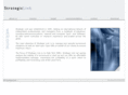 strategic-link.com