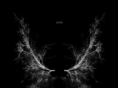 syviamusic.com