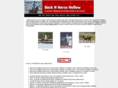 bucknhorsehollow.com