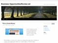 businessopportunitiesreview.net