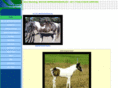 online-horsesforsale.com