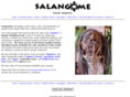 salangome.com