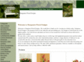 stargazersfloraldesigns.com