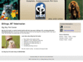 bigskypet.com