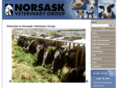 norsaskvetgroup.com