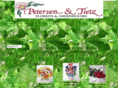 petersenandtietz.com