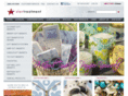 startreatment.com