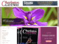 charlestongateway.com