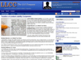 the-llc-company.com