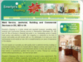 emerlynscleaning.com