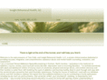 insightbh.com