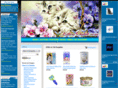 kittenoutlet.com
