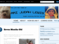 thelittlelewis.com