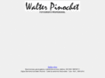 walterpinochet.com