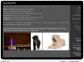 whataphotograph.com