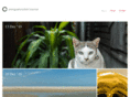 bobcorporaal.com
