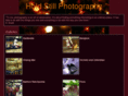 holdstillphotography.com