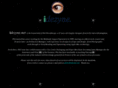 idezyne.net