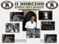 ilnorcino.net