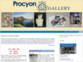 procyongallery.com