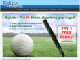 biglitegrips.com