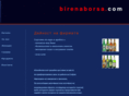 birenaborsa.com