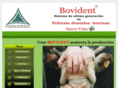 bovident.com