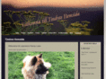 tervgillet.com