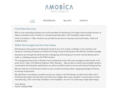 amobica.com