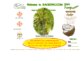 kaokong.com