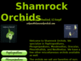 shamrockorchids.com