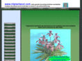 triplantanol.com