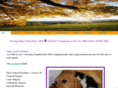 valleylyonspethospital.com