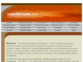 claimfileaudits.com