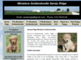 goldendoodlemini.com