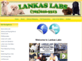 lankaslabs.com