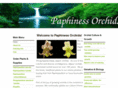 paphinessorchids.com