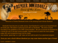 premierboerboels.com