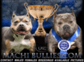 americanbullybreeders.com
