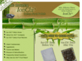 ionchipatch.com