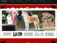 akitashigashi.com.br