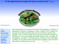 creationscienceministries.org