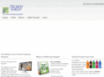 decisioninsights.com