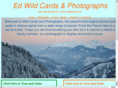 ed-wild.com