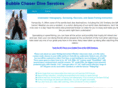 bubblechaser.com