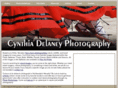 cynthiadelaney.com
